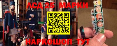 гашик Нальчик