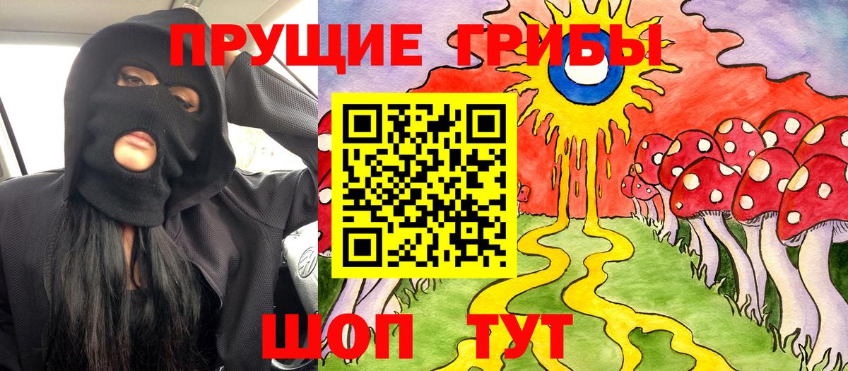 Галлюциногенные грибы Cubensis Уссурийск