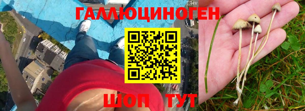 Галлюциногенные грибы мицелий  Вход с VPN  купить наркотики цена  Уссурийск 